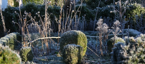 L’hiver dans votre jardin : une saison pas de tout repos