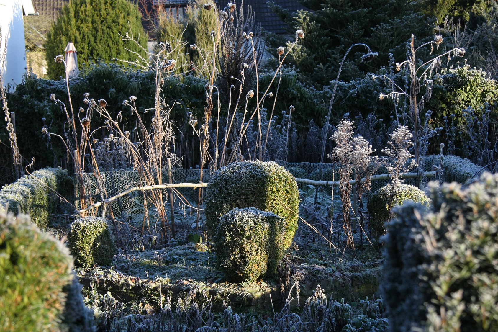 L’hiver dans votre jardin : une saison pas de tout repos